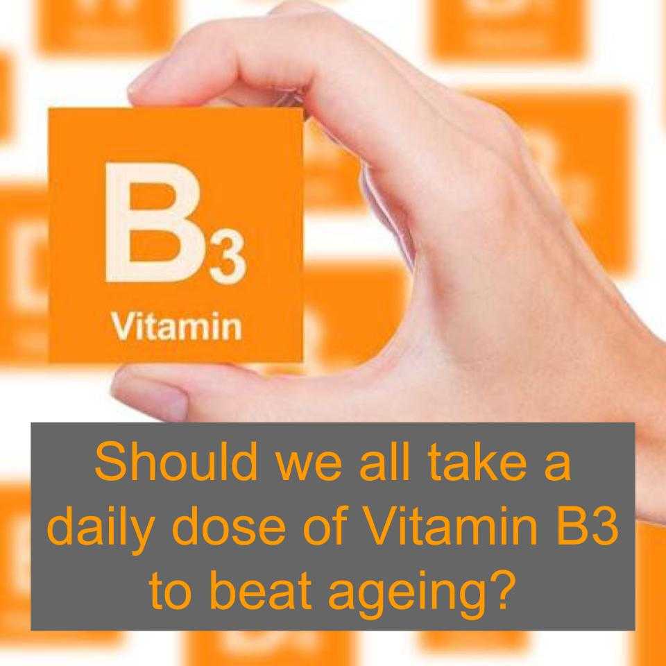 Should we all take a daily dose of Vitamin B3, specifically nicotinamide or nicotinic acid, to beat aging?